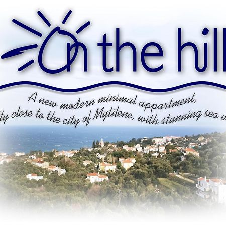 דירות Mytilíni On The Hill מראה חיצוני תמונה